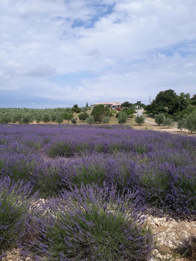 Maison Provence A Baudinard-sur-verdon Baudinard