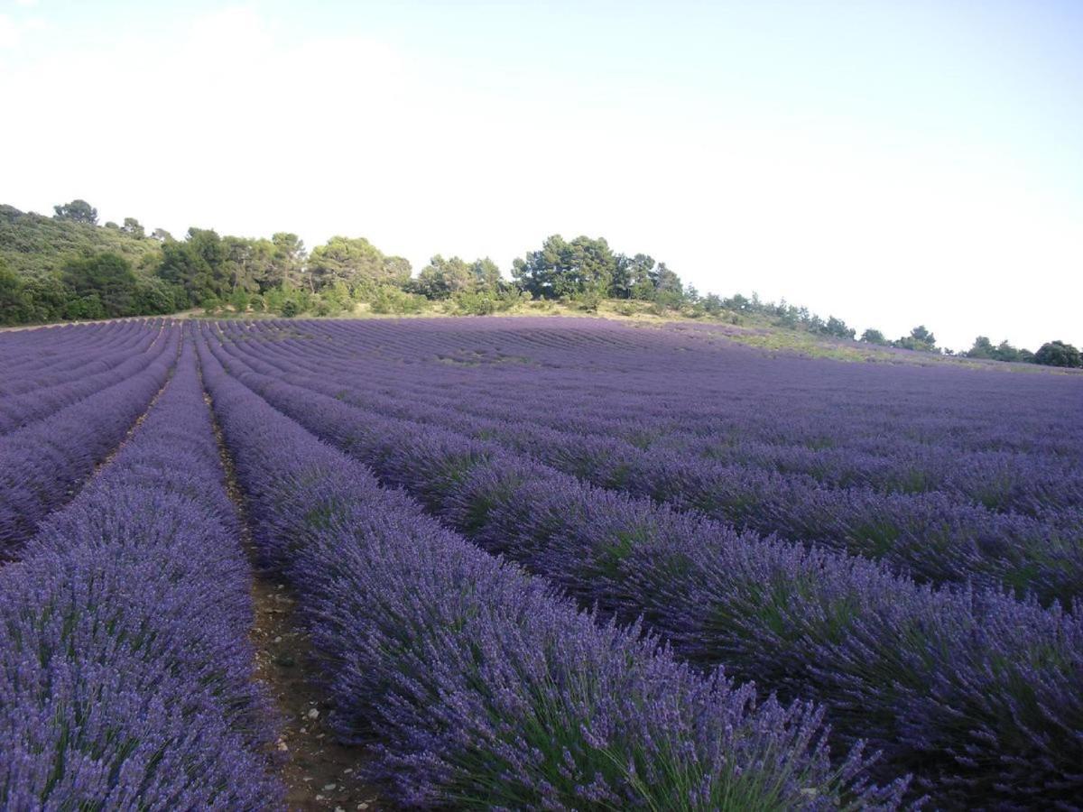 Holiday home Maison Provence A Baudinard-sur-verdon Baudinard